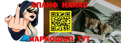 ALPHA PVP Гатчина