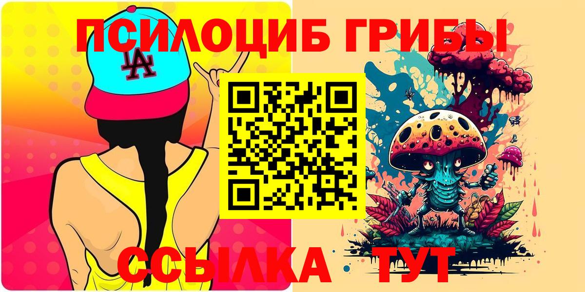 Псилоцибиновые грибы Psilocybe Новошахтинск