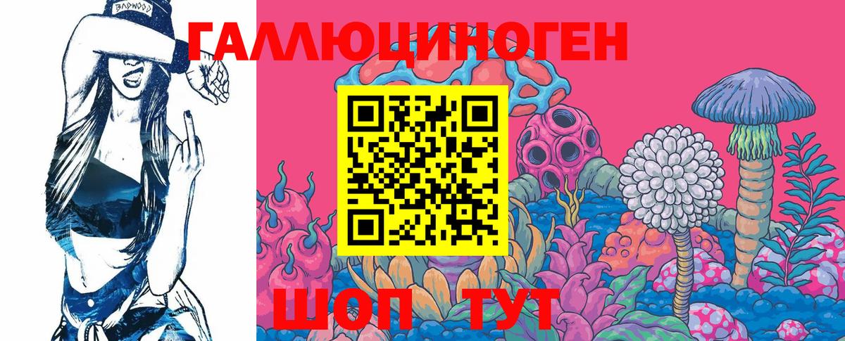 Новошахтинск  Псилоцибиновые грибы Psilocybe  купить   Вход с VPN 